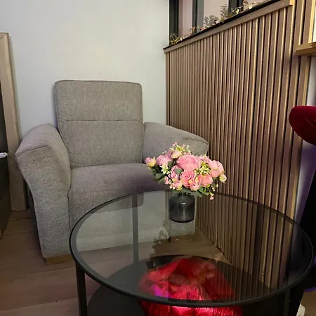 Love room Appartement Nantes