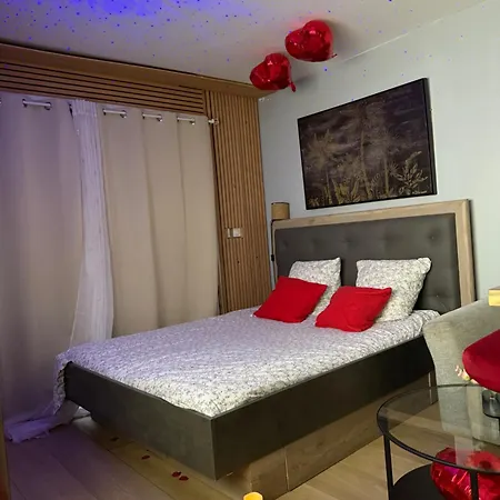 Love Room Apartment Nantes